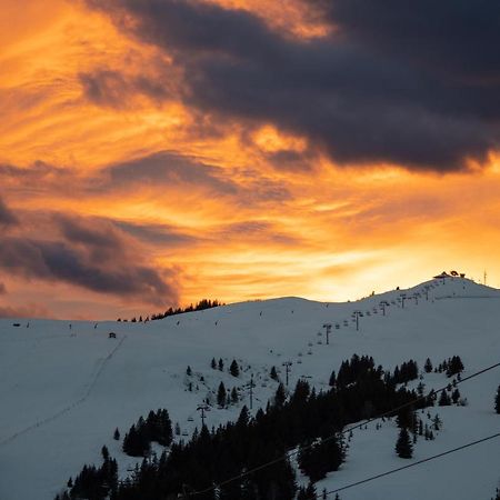 Les Saisies Appart 1 Chambre Au Pied Des Pistes Kültér fotó