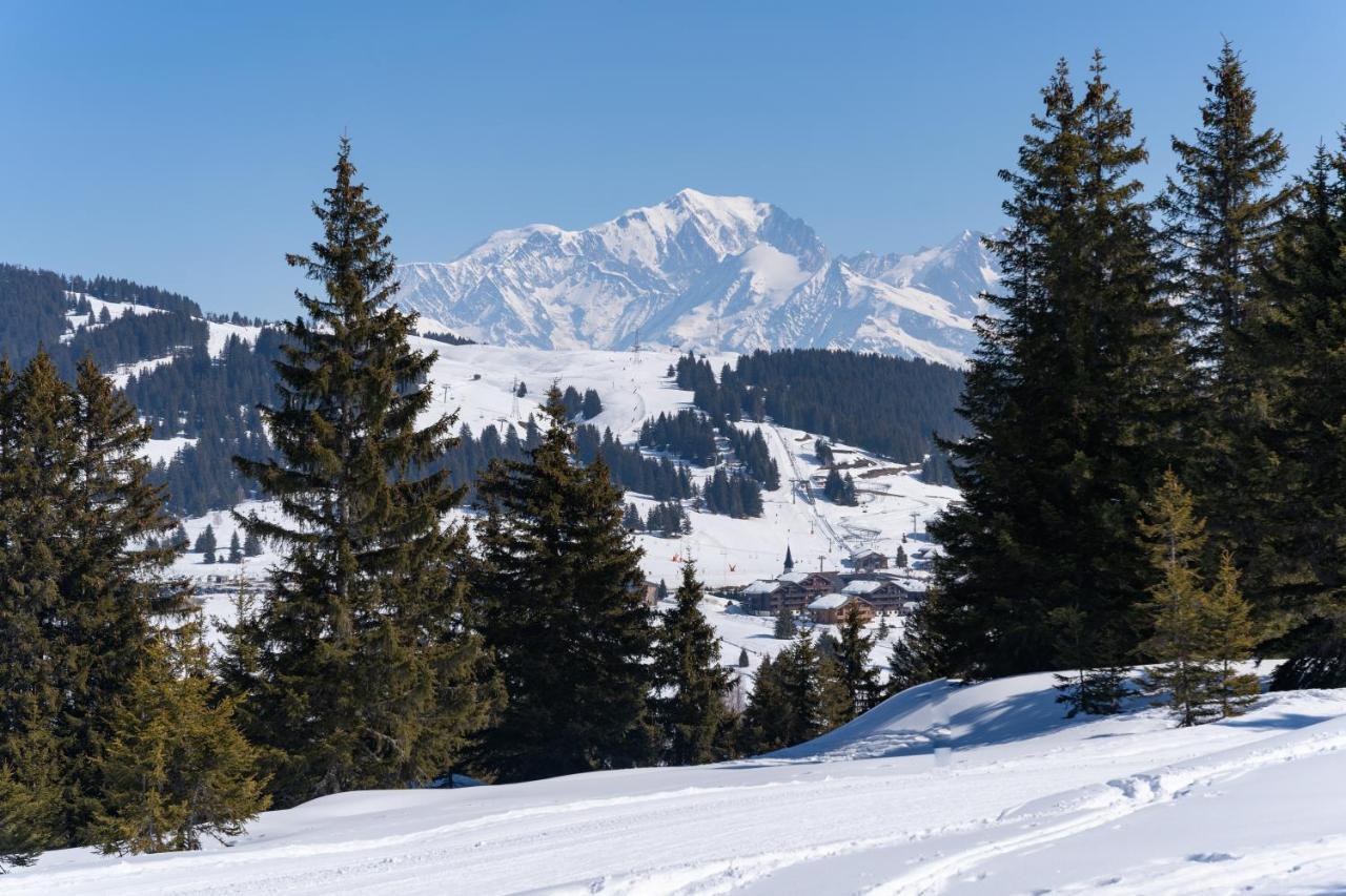 Les Saisies Appart 1 Chambre Au Pied Des Pistes Kültér fotó