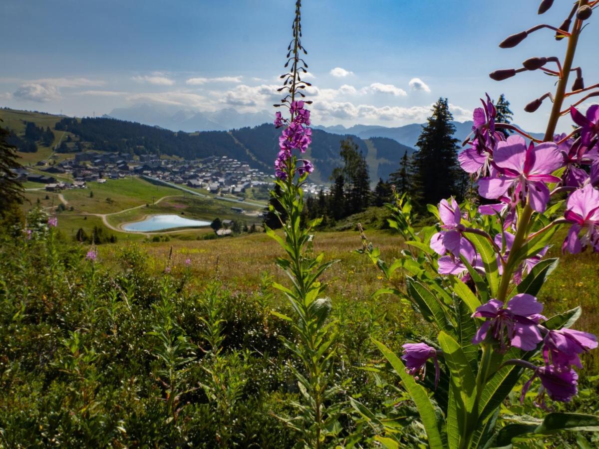 Les Saisies Appart 1 Chambre Au Pied Des Pistes Kültér fotó