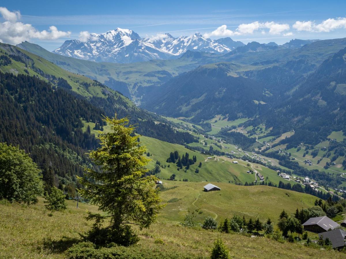 Les Saisies Appart 1 Chambre Au Pied Des Pistes Kültér fotó